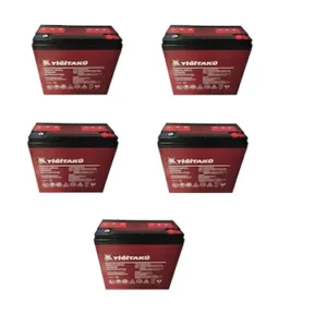 Yiğit 12V 24Ah Elektrikli Bisiklet Aküsü 5'li Set