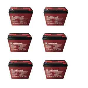 Yiğit 12V 24Ah Elektrikli Bisiklet Aküsü 6'lı Set
